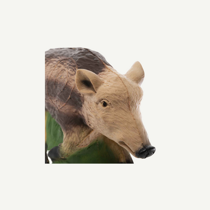 100502 IBB 3D target small young Boar
