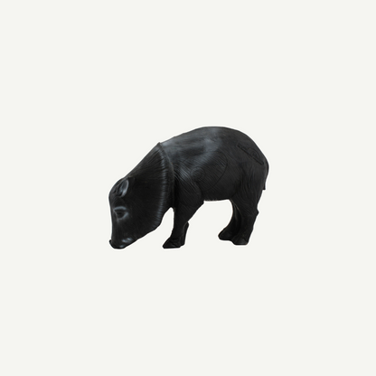 60404 Longlife Javelina Sow