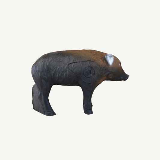 100315 Leitold Young Wild Boar