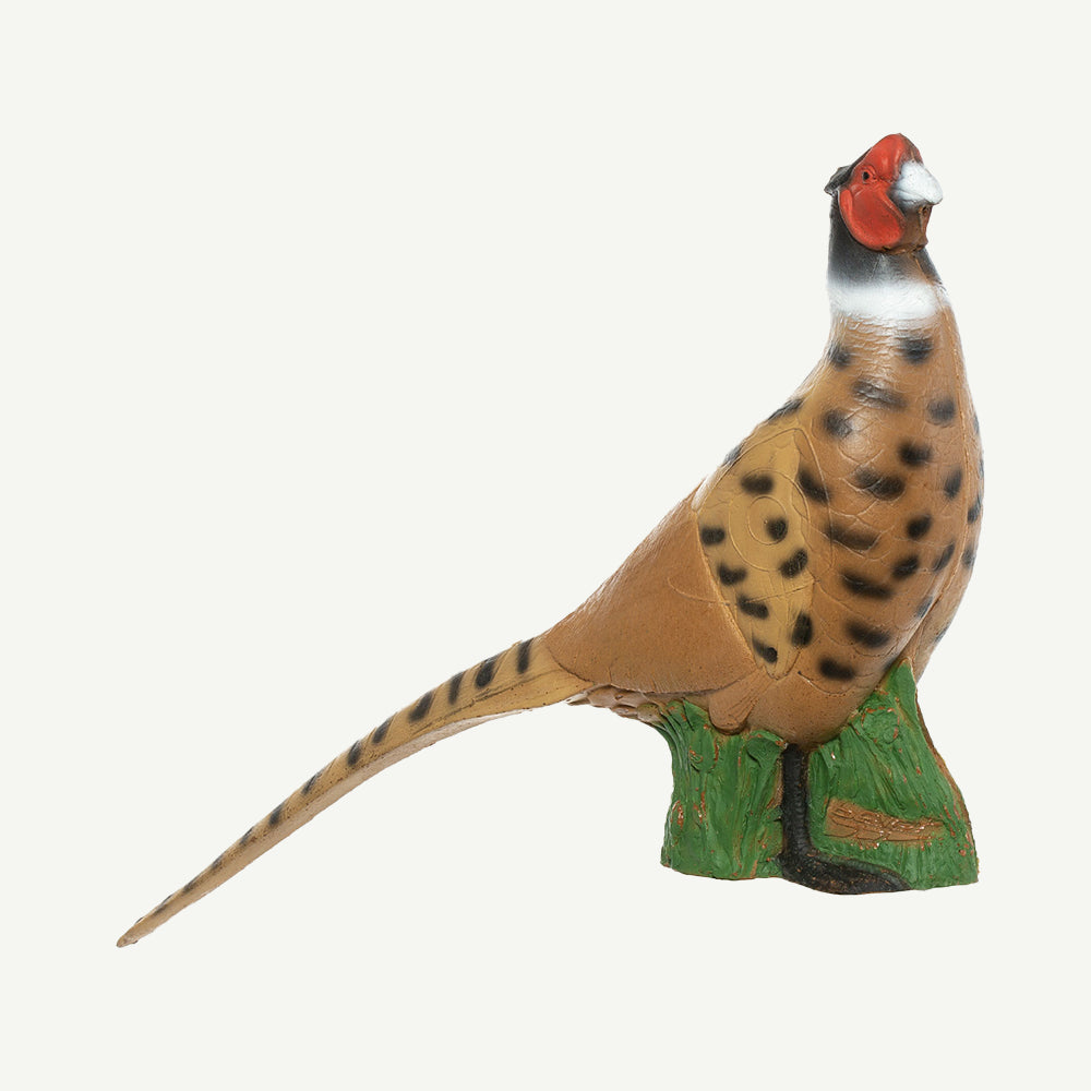 100935 IBB 3D Animal Noble Pheasant