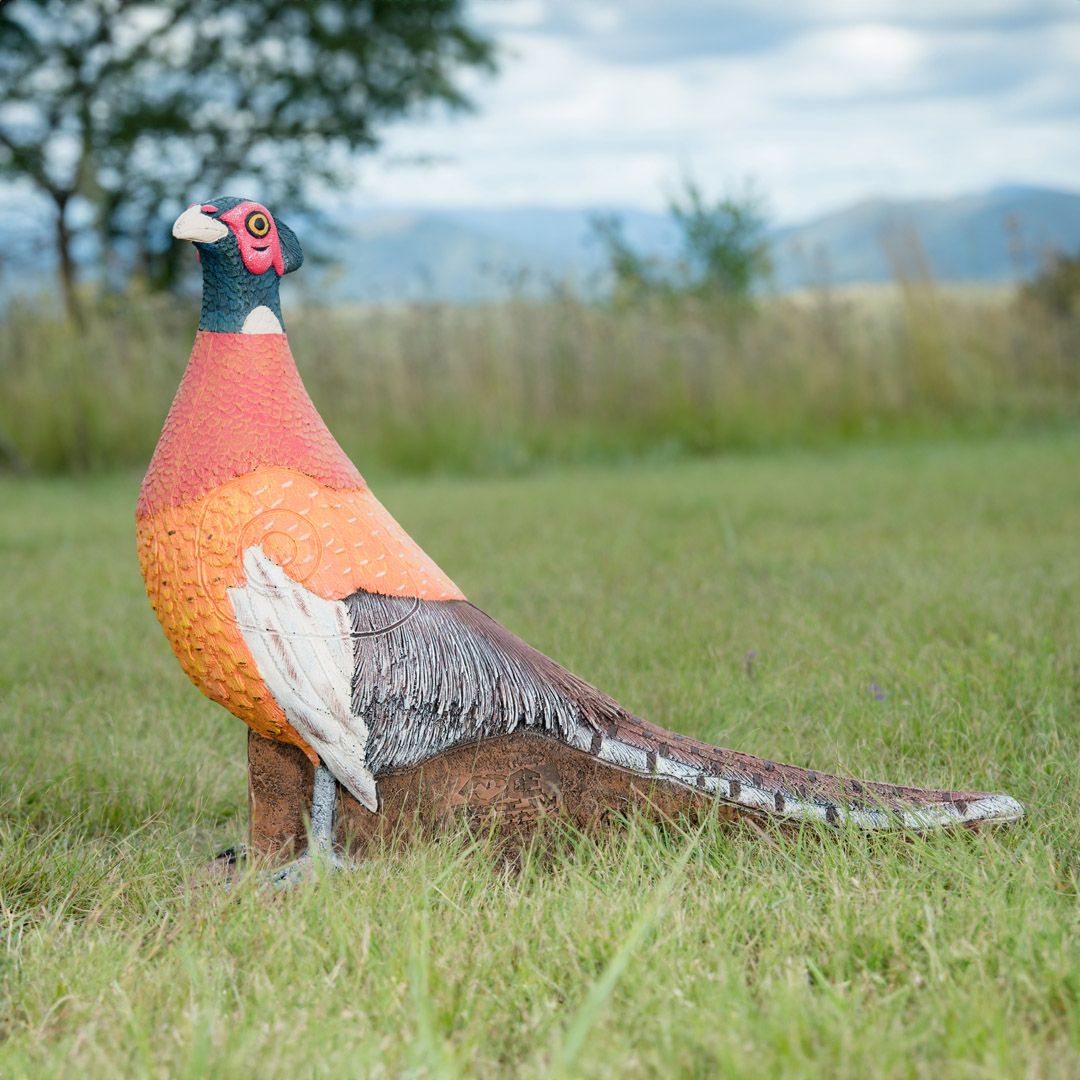 101030 Wildcrete 3D Target - Pheasant
