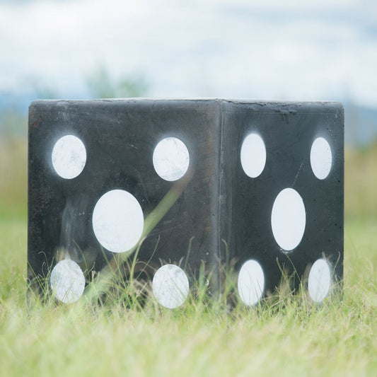 101057 Wildcrete 3D Target - Cube
