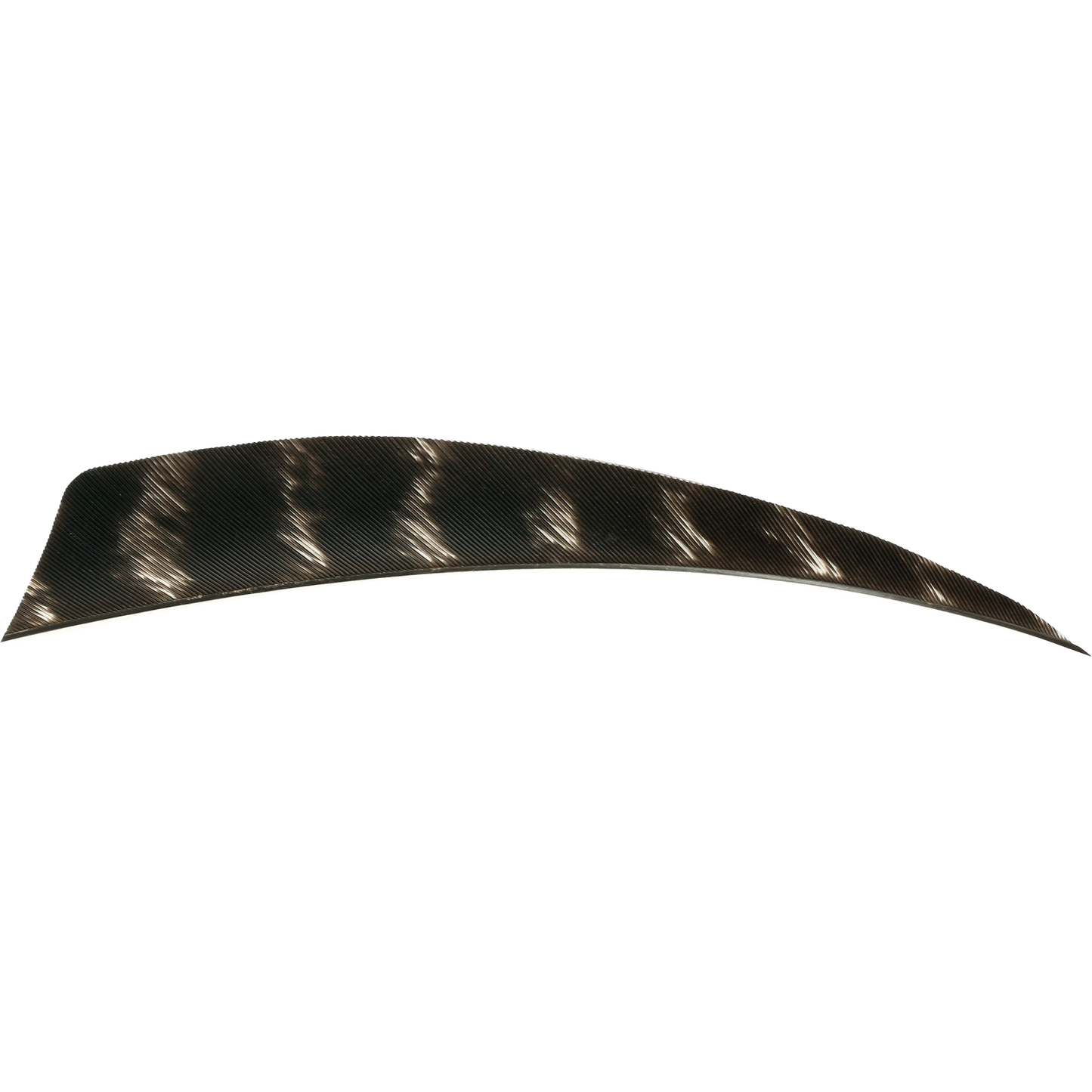 18405 Feather RW Shield 5 inch natural barred